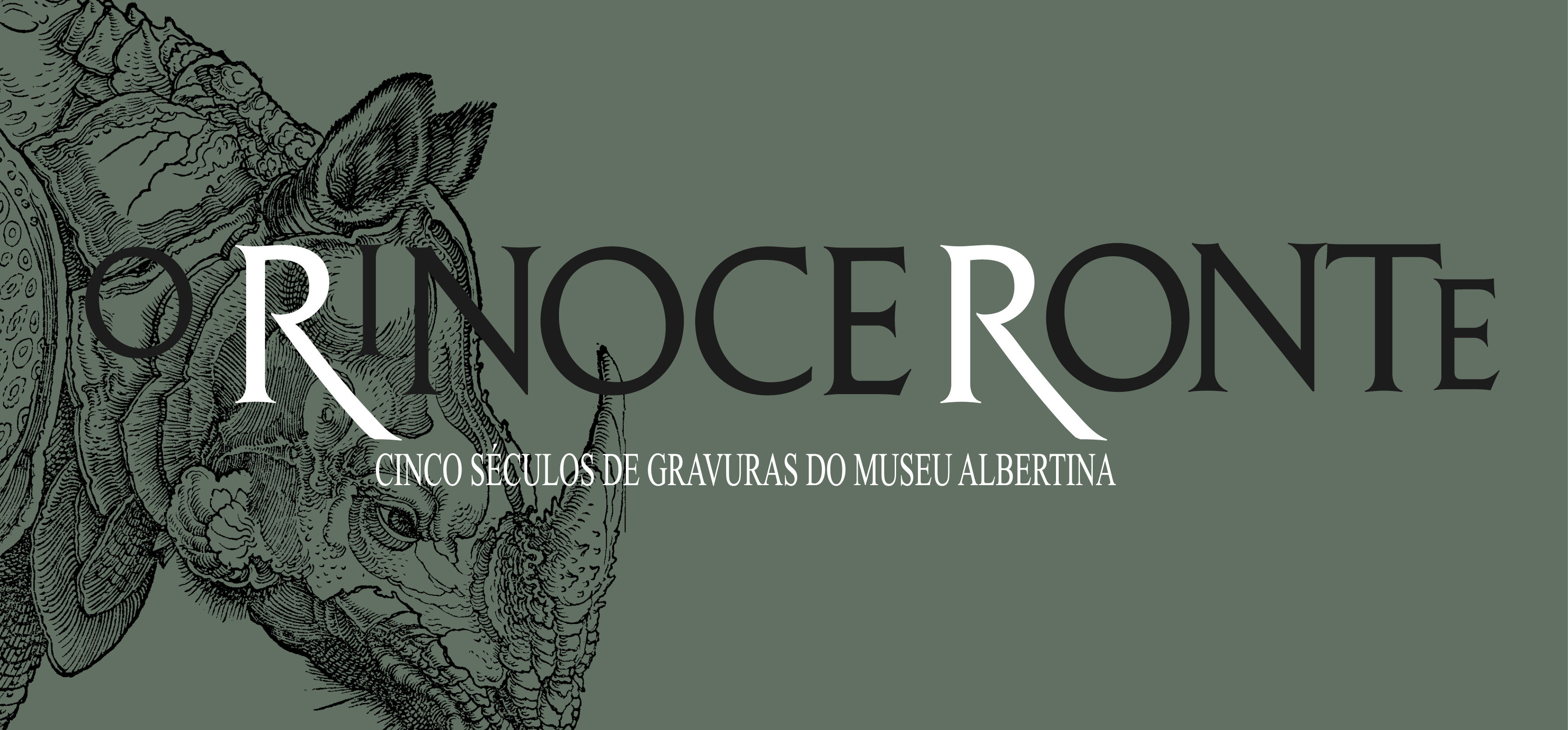 O RINOCERONTE: 5 SÉCULOS DE GRAVURAS DO MUSEU ALBERTINA